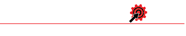 רחל ברונר — בניית מערכות ניהול לעסקים